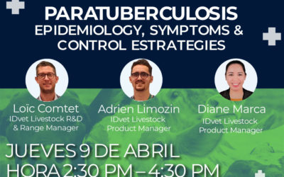 Paratuberculosis: epidemiología, síntomas y estrategias de control