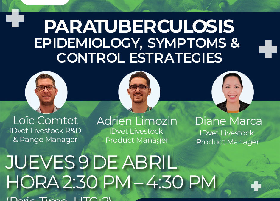 Paratuberculosis: epidemiología, síntomas y estrategias de control