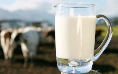 Investigación: Nuevo sensor para mejorar el control de calidad de la leche cruda