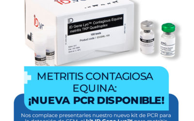 Contagious Equine Metritis: new PCR available!