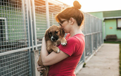 ¿Adoptar un perro? Lo que necesitas saber para hacerlo bien