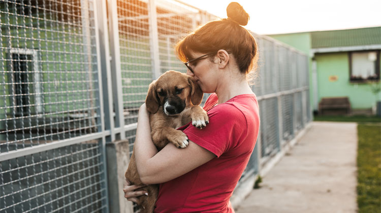 adoptar un perro