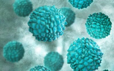 ¿Los perros pueden contraer norovirus?