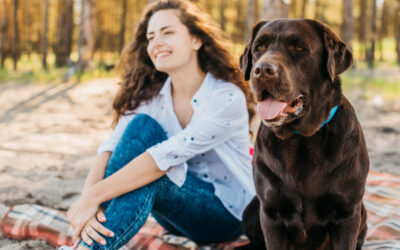 Cómo hacer que tu perro se sienta seguro