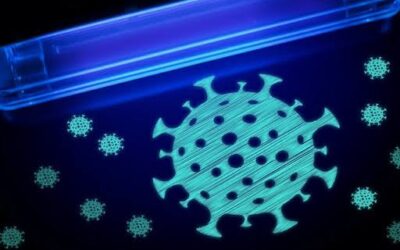 La luz ultravioleta lejana ofrece una nueva esperanza en la lucha contra la gripe aviar.